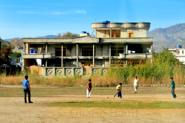 Junior Cricket