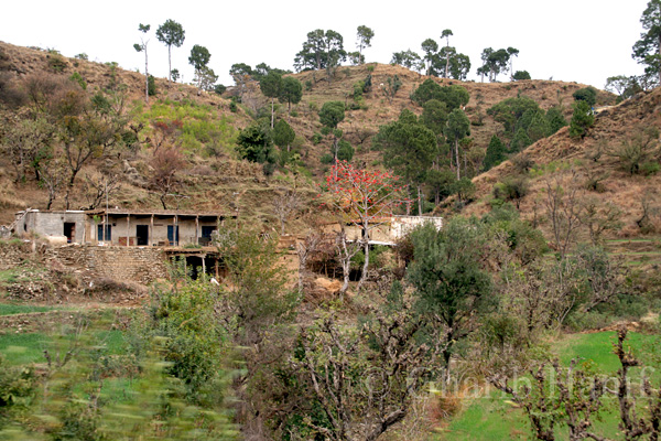 Village