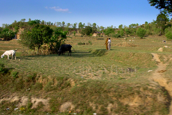 Village