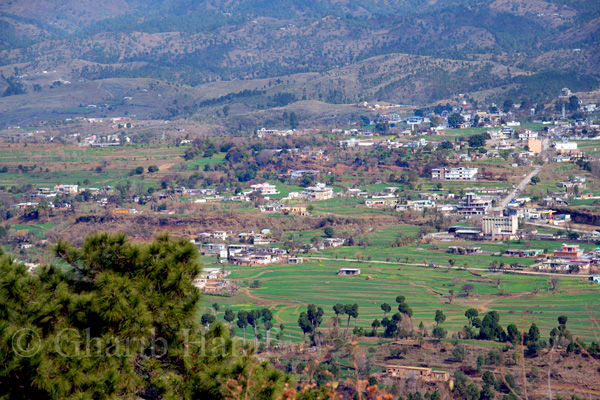 Sehnsa view