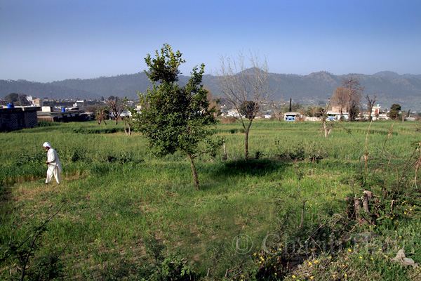 Village