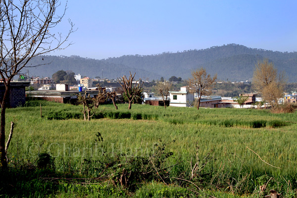Village