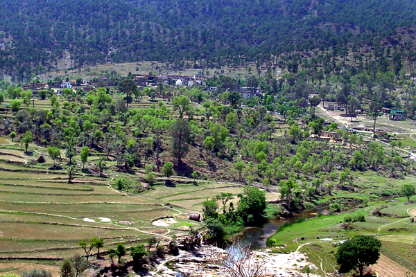 Sehrmandi