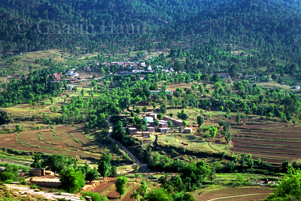 Sehrmandi