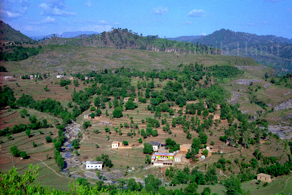 Village near Sehrmandi