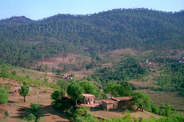 Village near Sehrmandi