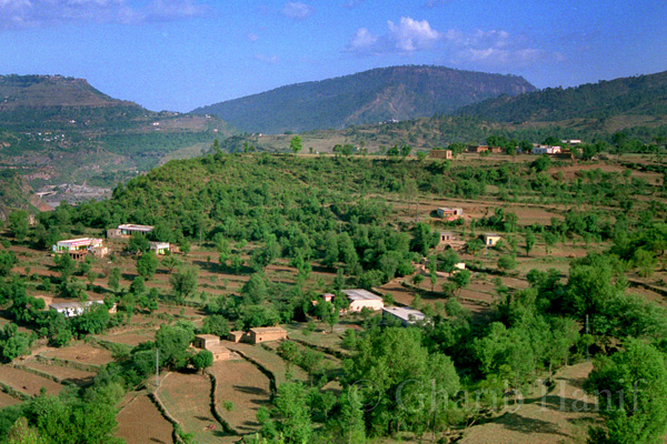 Village near Sehrmandi