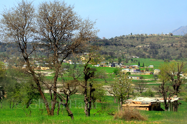 Village