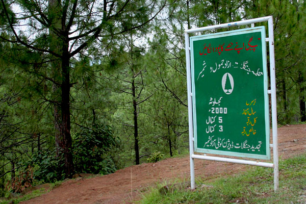 Forest nursery