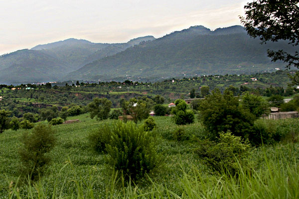 Sarsawa valley