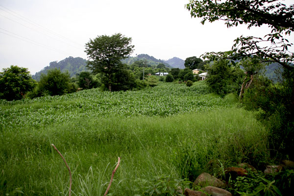 Gagnara village