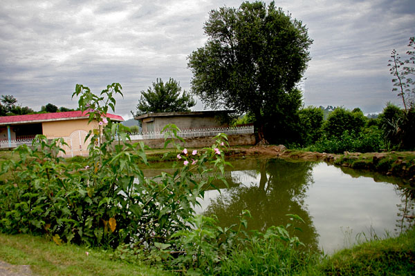 Small lake