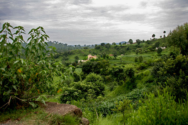 Village