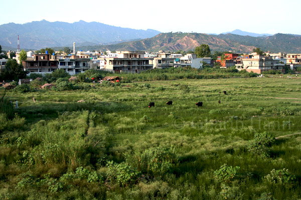 Bhimber