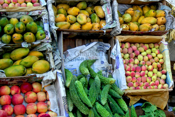 Fruit