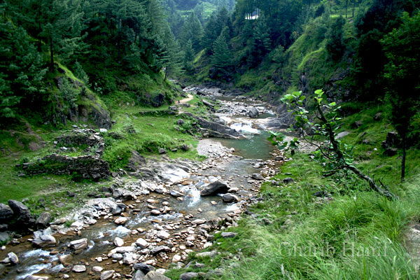 Ravine