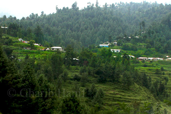 Village