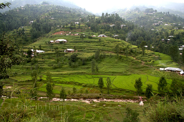 Badiala