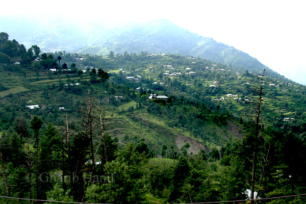 Chikar
