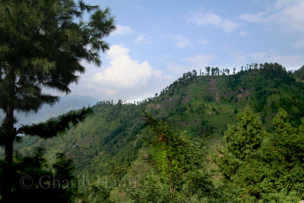 Village