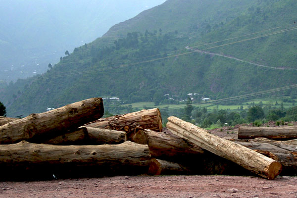 Logs