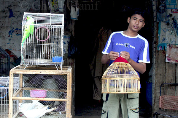 Pet shop
