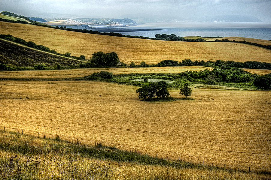 Watchet and Zig Zag fields72.jpg