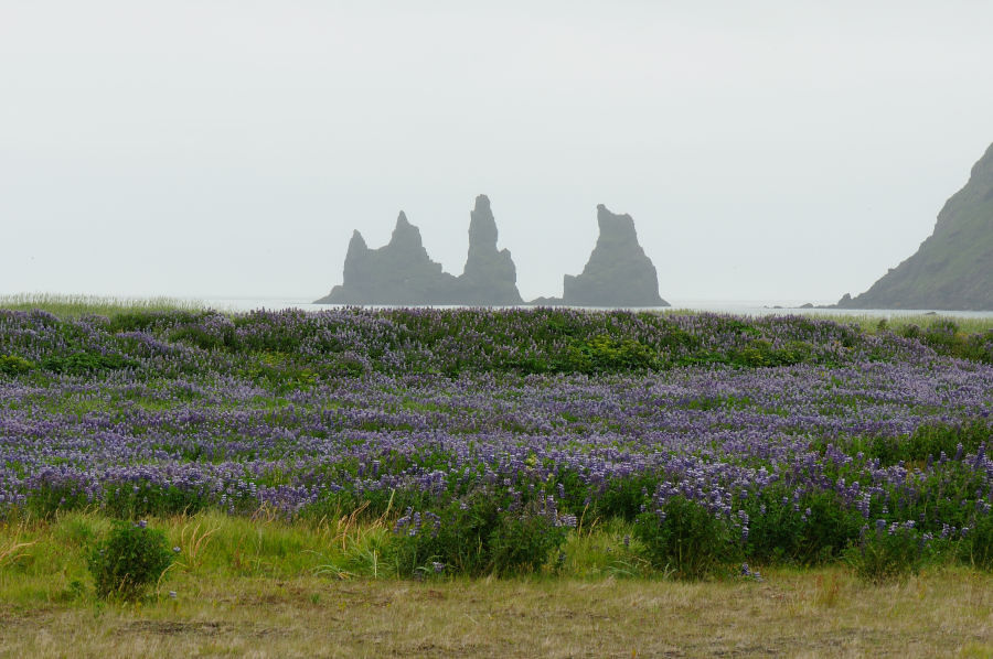 DSC_8051.jpg
