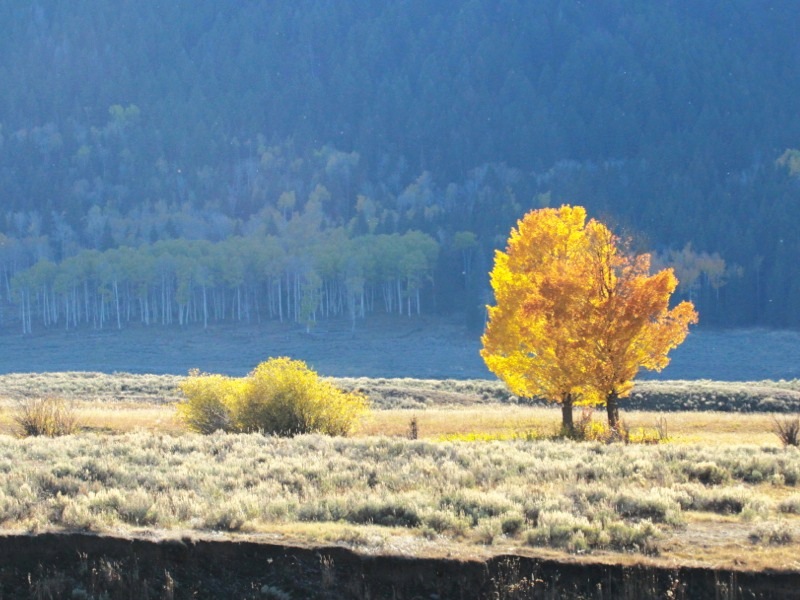 2011-10-18 20:32
