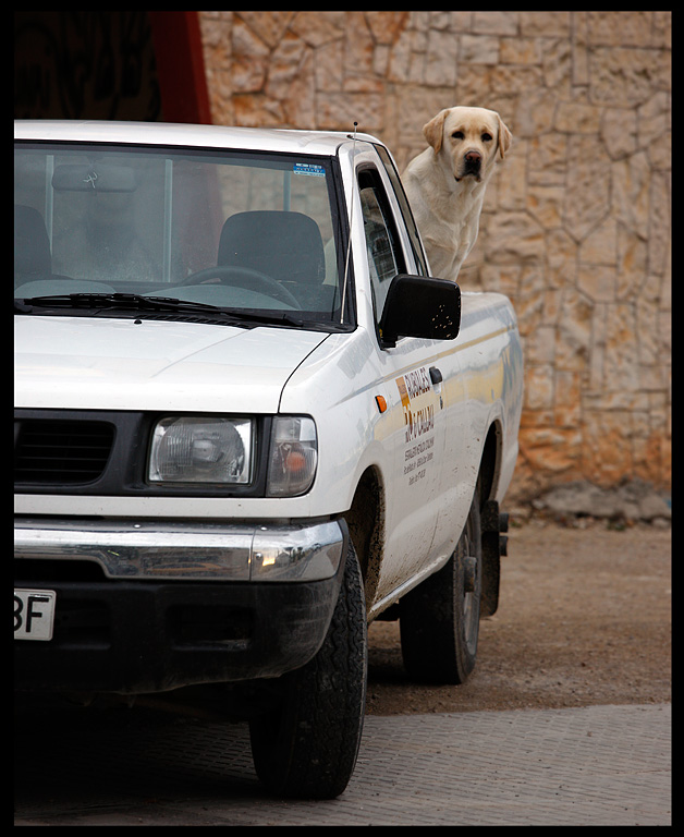 Looking after the car....Amposta / Spain