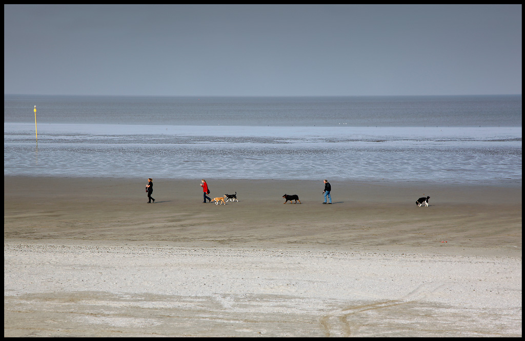 Walking on the beach - Holland