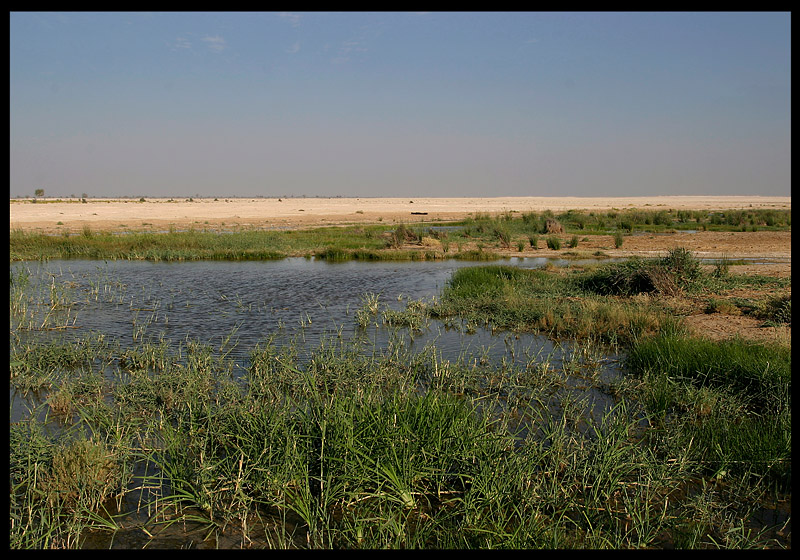 Muntasar oasis near South Arabian border