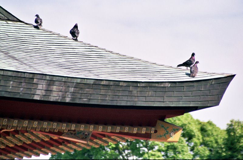 A day in Kamakura