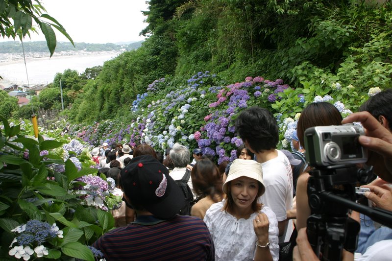 A day in Kamakura