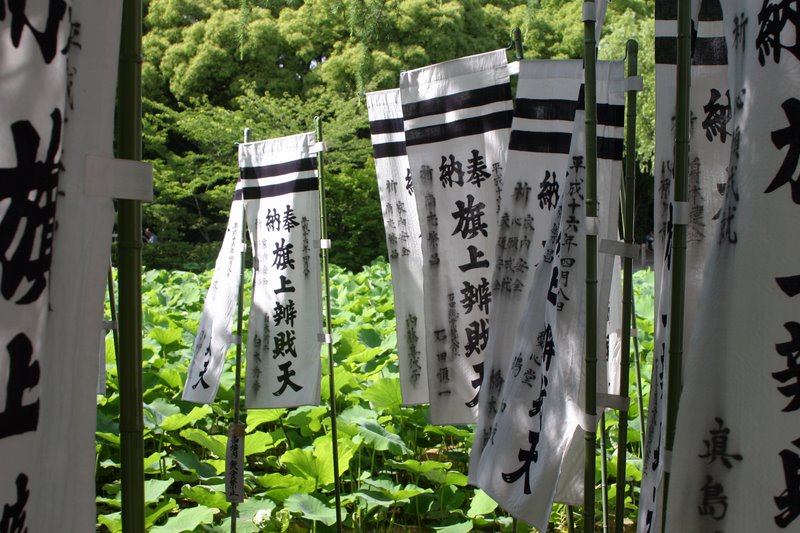 A day in Kamakura