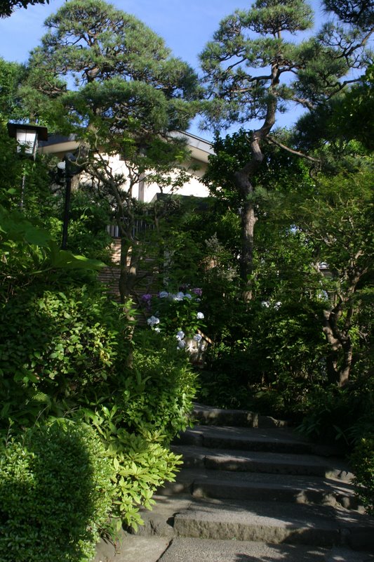 A day in Kamakura