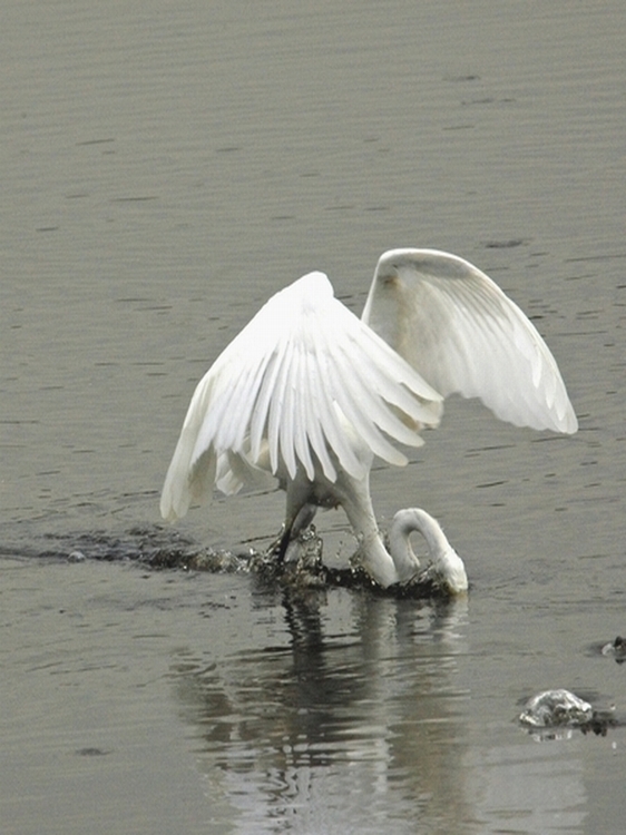DSC_9297D_edited-1.JPG