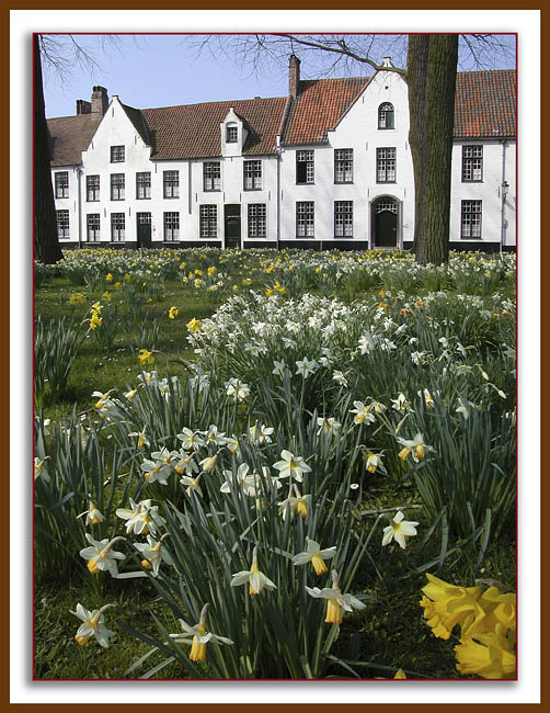 Begijnhof24.jpg