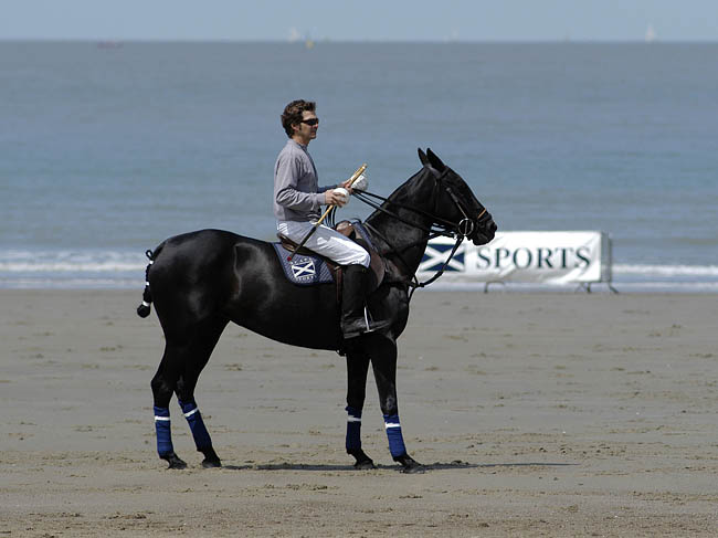 Polo_03.jpg