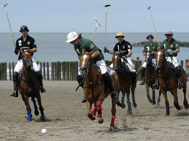 Polo_23.jpg