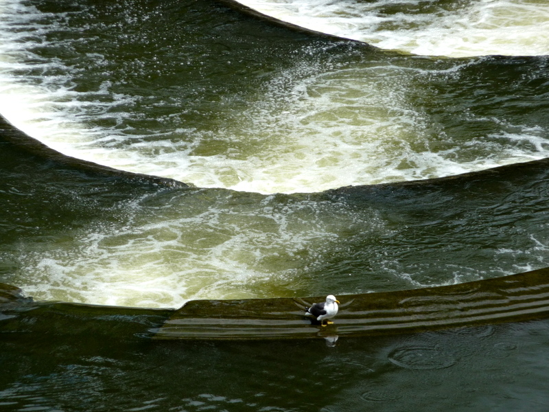 the riverside,