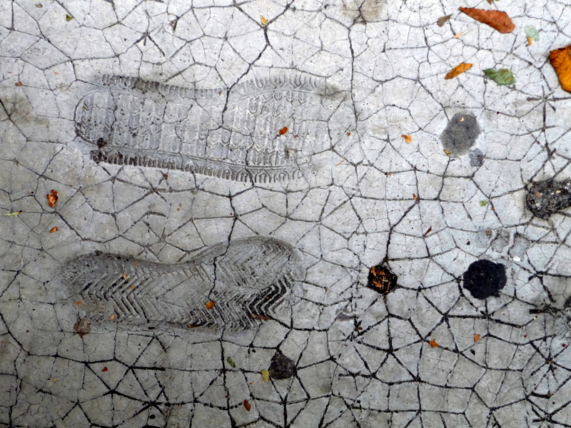 Footprints in concrete