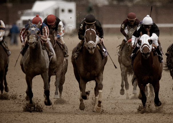 B_BC2006DSC_0355edit_RACE 6_TVG BREEDERS CUP SPRINT.jpg
