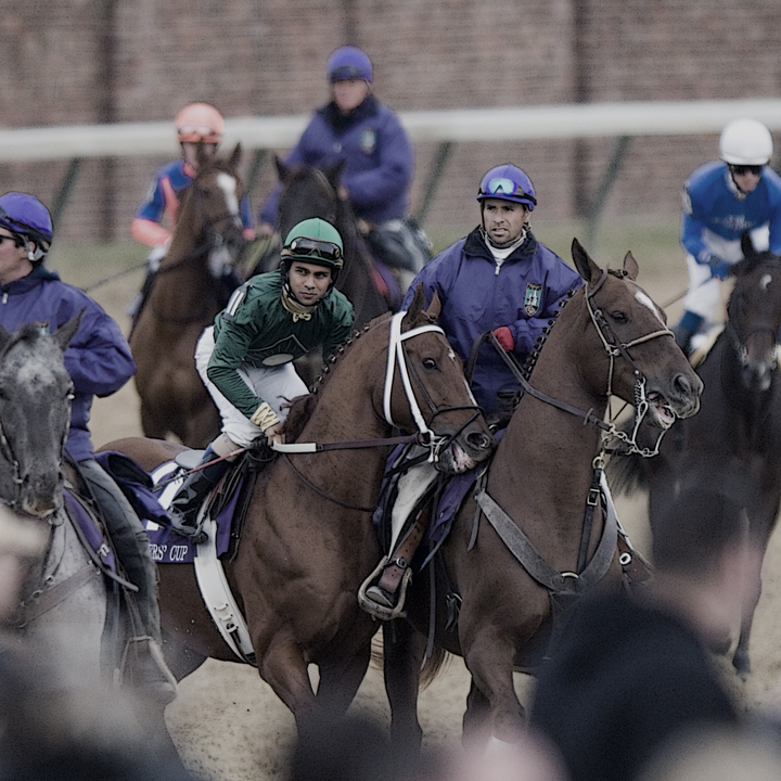 _DS-C0002 -Super Frolic - Net Jets Breeders Cup Mile.jpg