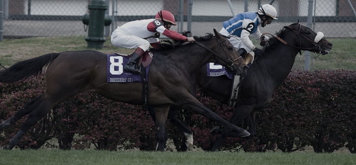 _DS-C0016 - # 8 Rob roy - Net Jets Breeders Cup Mile, #2 Silent Name.jpg