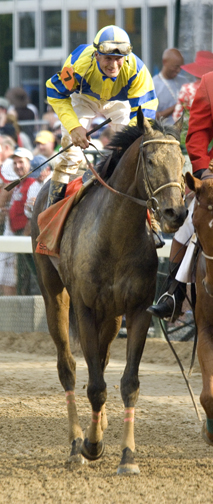 _DSC1769 - KYD winner - Street Sense.jpg