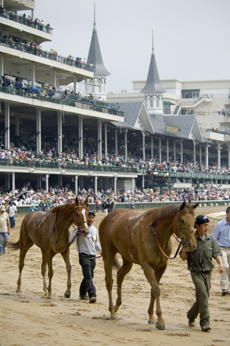 _DSC1306 Race 3 Horse 4 on left.jpg