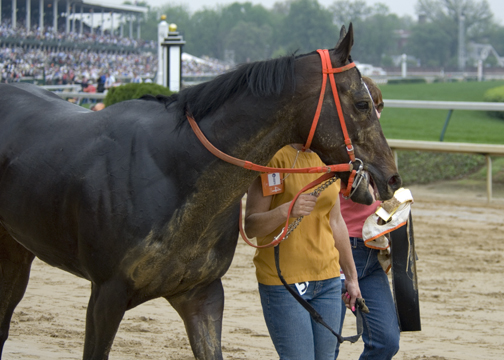 _DSC1417 Race 5 Horse 4 2nd place.jpg