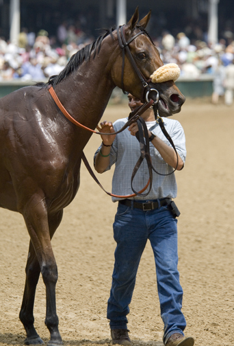_DSC1469 Race 6 Winner.jpg