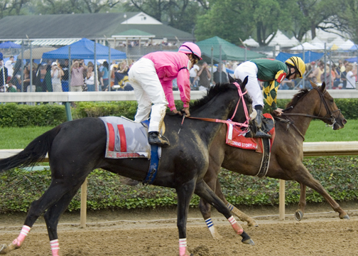_DSC1537 Race 7 -  2nd and 3rd place horses.jpg